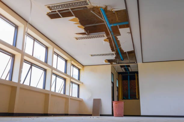 Best Flood damage cleanup  in Narrows, VA