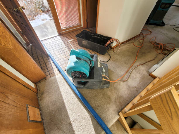 Best Professional water damage repair  in Narrows, VA