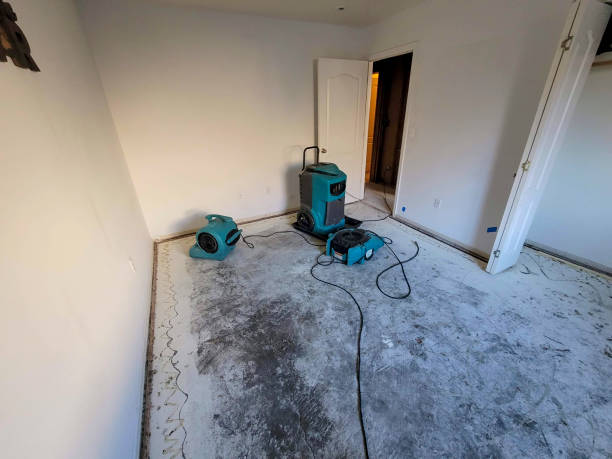 Best Carpet water damage restoration  in Narrows, VA