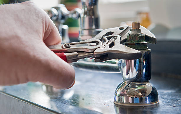 Best Professional water damage repair  in Narrows, VA