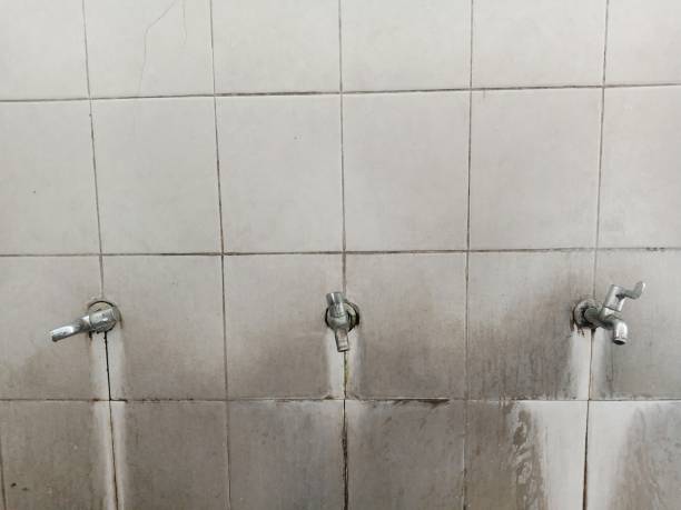 Best Water damage cleanup near me  in Narrows, VA