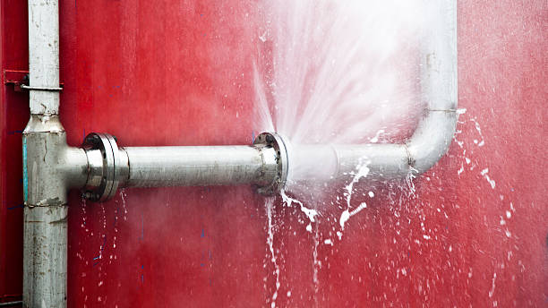 Best Flood damage cleanup  in Narrows, VA